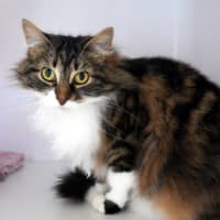 Photo of Ivy Sta012785