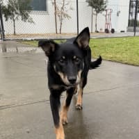 Photo of Bindi