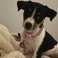 Photo of Skye