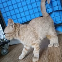 Photo of Sunnysideup