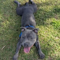 Photo of Bonnie