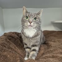 Photo of Coco