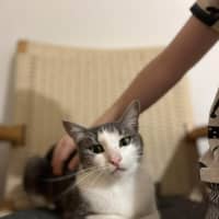 Photo of Maisey