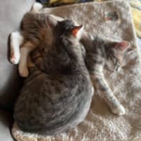 Photo of Mindy And Mork