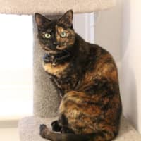 Photo of Lucy