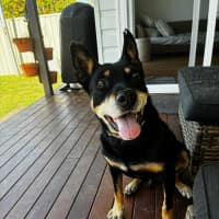 Photo of Bud