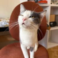 Photo of Mikey And Bob