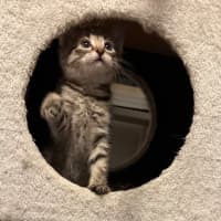 Photo of Rosie