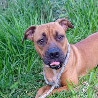 Photo of Hazel