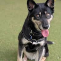 Photo of Nikky