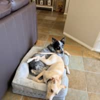 Photo of Dolly Pawton