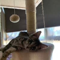 Photo of Zoe 