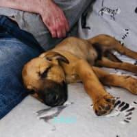 Photo of Zeus