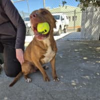 Photo of Skylar! 🌈