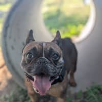 Photo of Axle