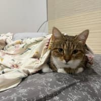 Photo of Princess Lilibet