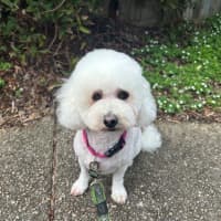 Photo of Oscar And Tilly Tamblyn