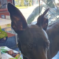 Photo of Jackson