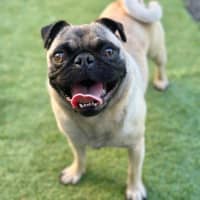 Photo of Benny