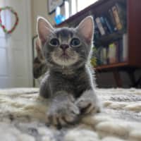 Photo of 🧡 Magnus 🧡