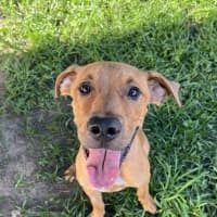 Photo of Chase