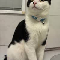 Photo of Kora (Was Echo)