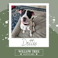 Photo of Dottie