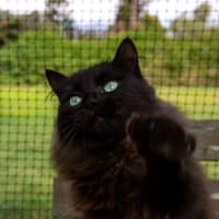 Photo of Ebony & Ivory