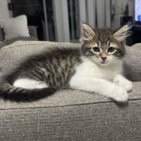 Photo of Bea