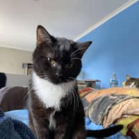 Photo of Nibbles & Moth