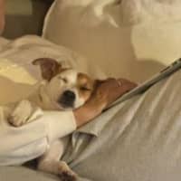 Photo of Jacky Chan Peggotty