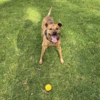 Photo of Tones