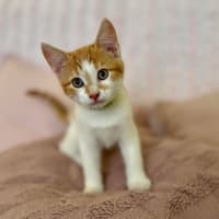 Photo of Zoe   In Foster Care In Croydon