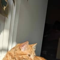 Photo of Barnaby & Rosie 