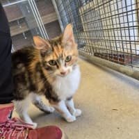 Photo of Maree! 🎀