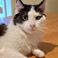 Photo of Alistair