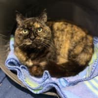 Photo of Alice