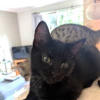 Photo of Tiny