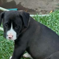 Photo of Jewel