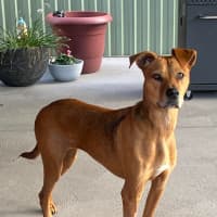 Photo of Zoe