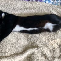 Photo of Buster