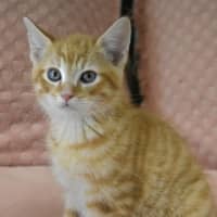 Photo of Kristoff