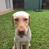 Photo of Bingo