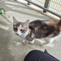 Photo of Ella! ❤️