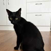 Photo of Ruby