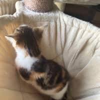 Photo of Little Leah