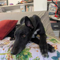 Photo of Arthur