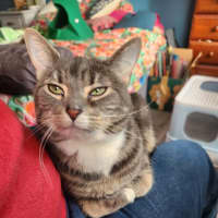 Photo of Quilly Willy