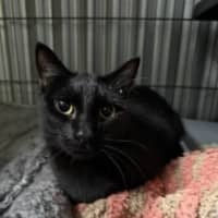 Photo of Taco