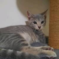 Photo of Eidie (K46)